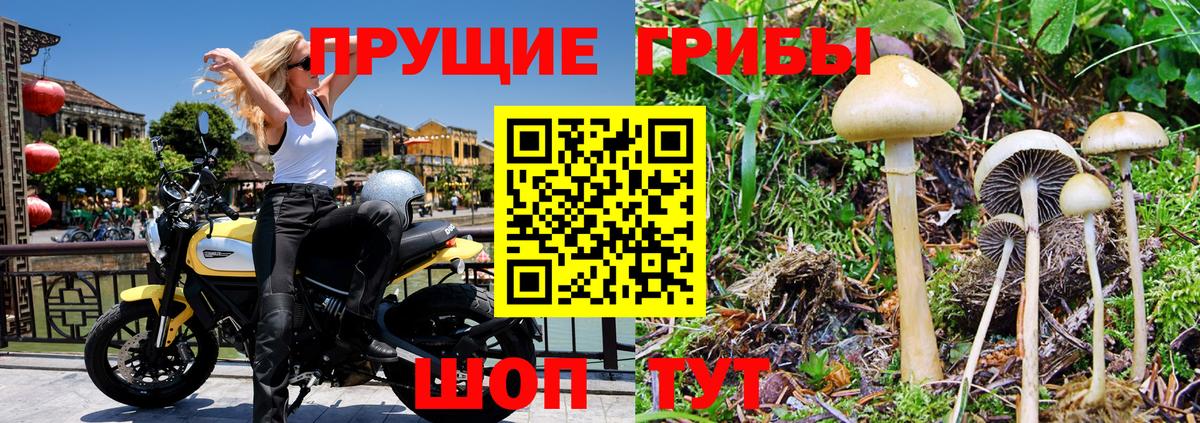 Галлюциногенные грибы прущие грибы Воркута